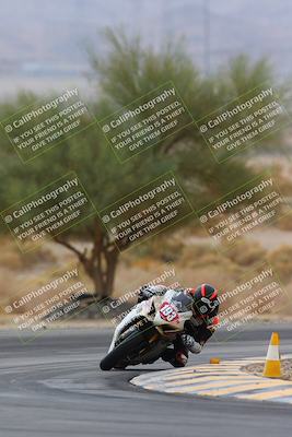 media/Mar-01-2025-Race Pace (Sat) [[ebf7b6e548]]/2-Verified (Turn 5 Tree of Life) 950am/